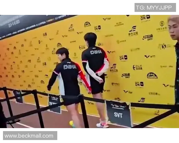 王军专访：从乒乓球小将到世界冠军的奋斗与荣耀之路